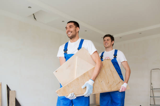 Best Shed Removal  in Quinebaug, CT